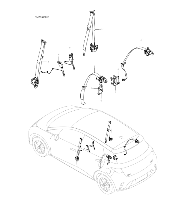 EM2E-06016 Full Vehicle Seat Belt Assembly