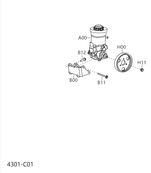 Power Steering Pump4301