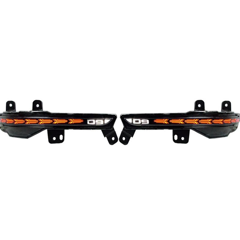 BYD Denza D9 2024 Decorative lights and light strips